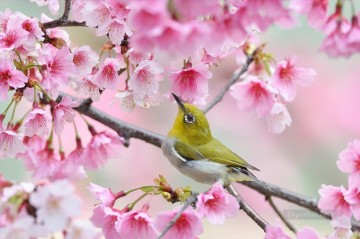 Pájaro oropéndola en flores primaverales pintando de fotos a arte Pinturas al óleo